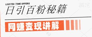 最新闲鱼引流创业粉,日引100+,网创项目虚变现讲解【揭秘】-寒山客