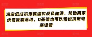 淘宝低成本爆款流实战私教课,帮助商家快速复制落地,0基础也可以轻松搞定电商运营-寒山客
