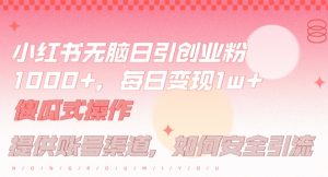 小红书无脑每日引流创业粉500+，小白每天只花半小时，躺赚长尾收益【揭秘】-寒山客