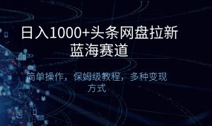 日入1000+头条网盘拉新蓝海赛道，简单操作，保姆级教程，多种变现方式-寒山客