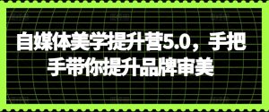 自媒体美学提升营5.0，手把手带你提升品牌审美-寒山客