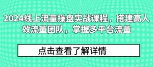 2024线上流量操盘实战课程,搭建高人效流量团队,掌握多平台流量-寒山客