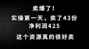 这个资源，需求很大，实操第一天卖了43份，净利润425【揭秘】-寒山客
