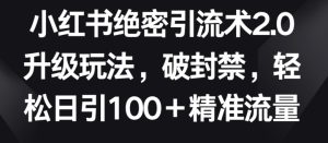 小红书绝密引流术2.0升级玩法,破封禁,轻松日引100+精准流量-寒山客