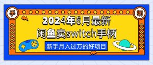 （10831期）2024年6月最新闲鱼卖switch游戏手柄，新手月入过万的第一个好项目-寒山客