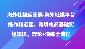 海外社媒运营课-海外社媒平台操作和运营、跨境电商基础实操知识,理论+演练全流程-寒山客