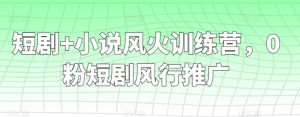 短剧+小说风火训练营，0粉短剧风行推广-寒山客