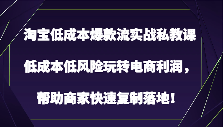 淘宝低成本爆款流实战私教课，低成本低风险玩转电商利润，帮助商家快速复制落地！-寒山客