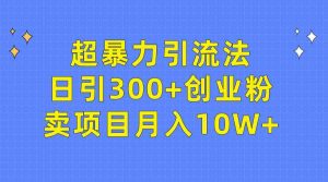 （9954期）超暴力引流法，日引300+创业粉，卖项目月入10W+-寒山客