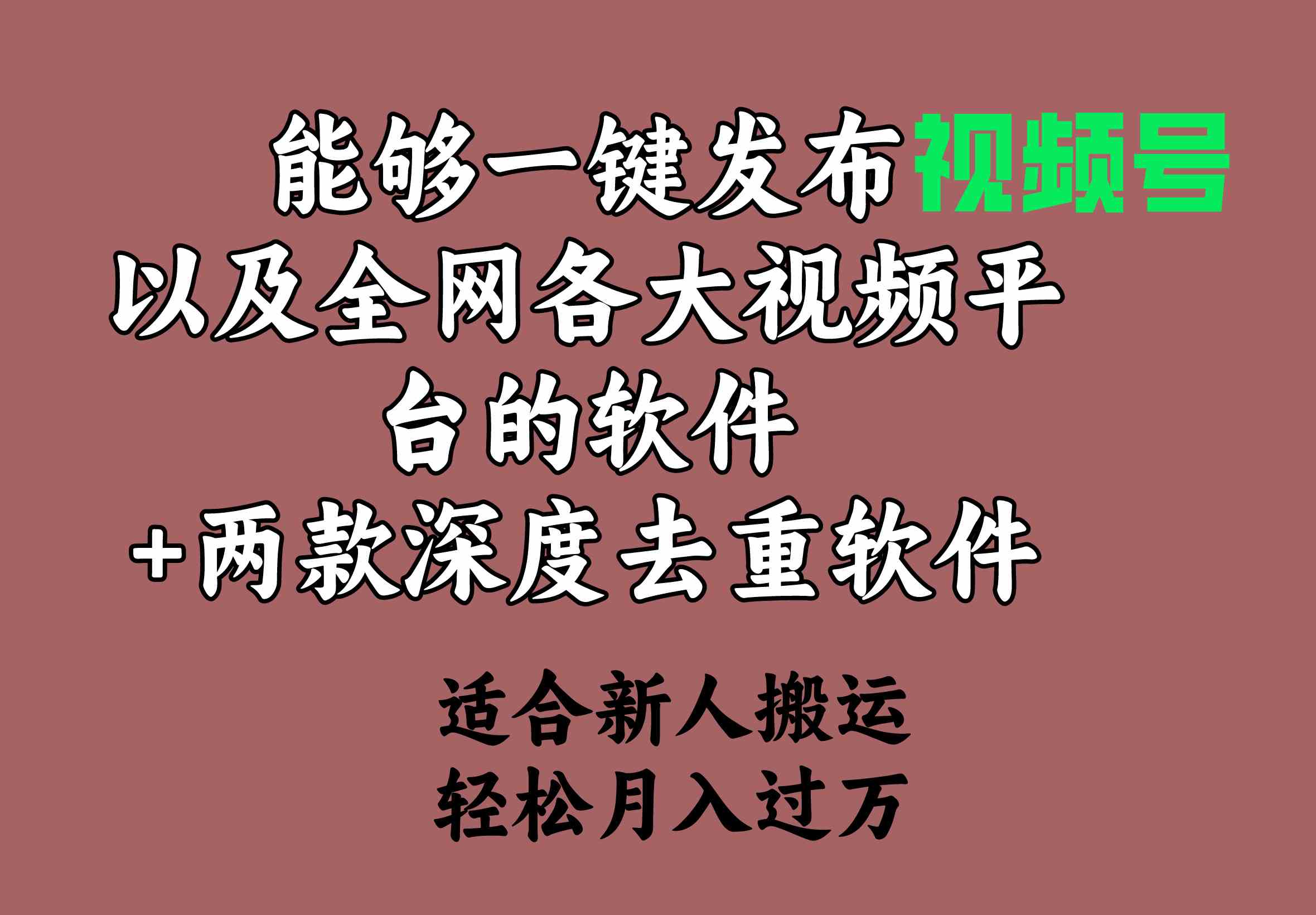 （9319期）能够一键发布视频号以及全网各大视频平台的软件+两款深度去重软件 适合…-寒衣客