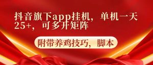 抖音旗下app自动挂机，单机一天收益25+，可多开矩阵-寒山客