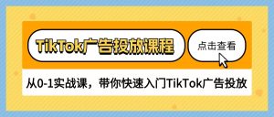 （10731期）TikTok广告投放课程，从0-1实战课，带你快速入门TikTok广告投放（30节课）-寒山客