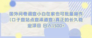 国外问卷调查小白在家也可批量操作(口子查站点查渠道查)真正的长久稳定项目 日入1500+-寒山客