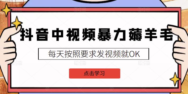 2022抖音中视频暴力薅羊毛白嫖项目：新号每天20块，老号几天几百块，可多号￼-寒衣客