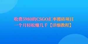 (9776期)CSGO装备搬砖,月综合收益率高达60%,你也可以!-寒山客
