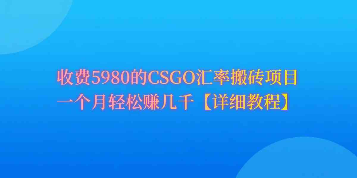 （9776期）CSGO装备搬砖，月综合收益率高达60%，你也可以！-寒衣客