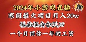 2024年寒假爆火项目,小游戏直播月入20w+,学会了之后你将翻身-寒山客