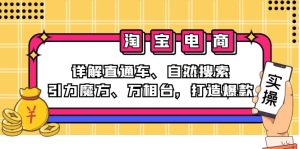 (12814期)2024淘宝电商课程:详解直通车、自然搜索、引力魔方、万相台,打造爆款-寒山客