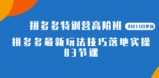 2023拼多多·特训营高阶班【9月19日更新】拼多多最新玩法技巧落地实操-83节-寒衣客