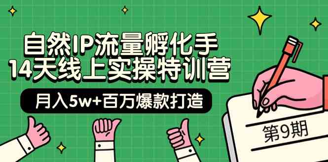 （9881期）自然IP流量孵化手 14天线上实操特训营【第9期】月入5w+百万爆款打造 (74节)-寒山客