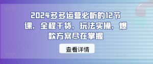 2024多多运营必听的12节课，全程干货，玩法实操，爆款方案尽在掌握-寒山客