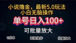 全自动小说撸金,单号日入100+小白轻松上手,无脑操作-寒山客