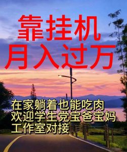(10838期)靠挂机,日入1000+,躺着也能吃肉,适合宝爸宝妈学生党工作室,电脑手…-寒山客