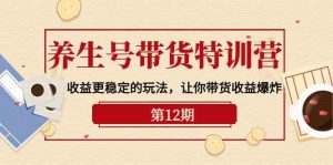 养生号带货特训营【12期】收益更稳定的玩法,让你带货收益爆炸(9节直播课)-寒山客