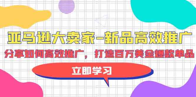 （9945期）亚马逊 大卖家-新品高效推广，分享如何高效推广，打造百万美金爆款单品-寒衣客