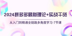 (10816期)2024拼多多 最新理论+实战干货,从入门到精通全链路多角度学习-7节课-寒山客