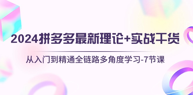 （10816期）2024拼多多 最新理论+实战干货，从入门到精通全链路多角度学习-7节课-寒衣客