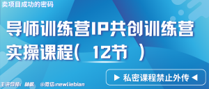 导师训练营3.0IP共创训练营私密实操课程（12节）-卖项目的密码成功秘诀-寒山客