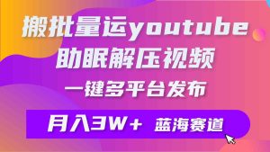 （9727期）批量搬运YouTube解压助眠视频 一键多平台发布 月入2W+-寒山客