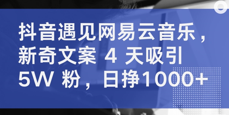 抖音遇见网易云音乐，新奇文案 4 天吸引 5W 粉，日挣1000+-寒衣客