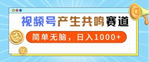 （9133期）2024年视频号，产生共鸣赛道，简单无脑，一分钟一条视频，日入1000+-寒山客