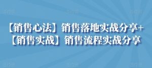 【销售心法】销售落地实战分享+【销售实战】销售流程实战分享-寒山客