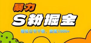 单人单机日引千粉，变现1k+，S粉流量掘金计划攻略【揭秘】-寒山客