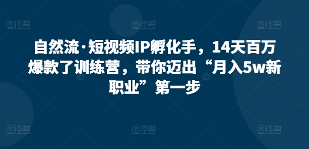 自然流·短视频IP孵化手，14天百万爆款了训练营，带你迈出“月入5w新职业”第一步-寒山客