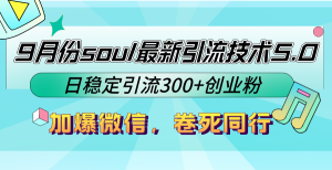 9月份soul最新引流技术5.0，日稳定引流300+创业粉，加爆微信，卷死同行-寒山客