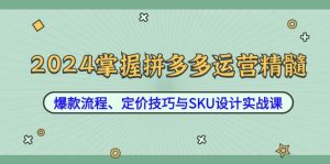 2024掌握拼多多运营精髓:爆款流程、定价技巧与SKU设计实战课-寒山客
