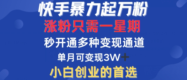 快手暴力起万粉，涨粉只需一星期，多种变现模式，直接秒开万合，单月变现过W【揭秘】-寒衣客