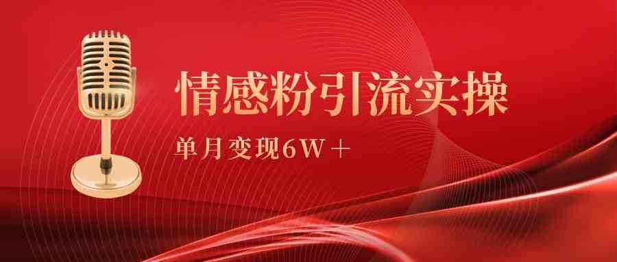 （9473期）单月变现6w+，情感粉引流变现实操课-寒衣客