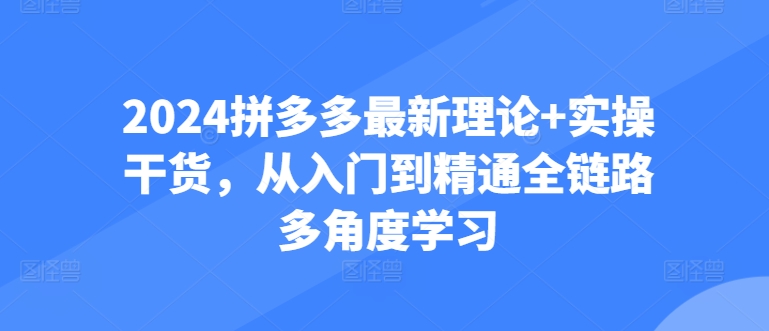 2024拼多多最新理论+实操干货，从入门到精通全链路多角度学习-寒山客