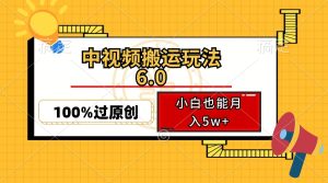（12838期）中视频搬运玩法6.0，利用软件双重去重，100%过原创，小白也能月入5w+-寒山客