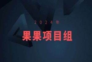 2024年果果项目组项目合集-果果最新项目-寒山客