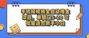 （12898期）手机短视频掘金项目，单窗口单平台5-20 可批量适合新手小白-寒山客