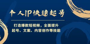 个人IP快速起号,打造爆款短视频,全面提升起号、文案、内容创作等技能-寒山客