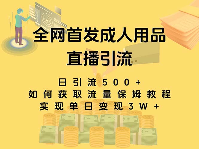 最新全网独创首发，成人用品直播引流获客暴力玩法，单日变现3w保姆级教程-寒山客