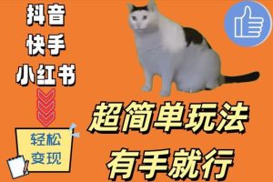 超简单玩法,有手就行,靠猫咪视频日入500+【揭秘】-寒山客