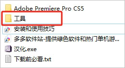 Adobe Premiere Pro CS5中文版插图12